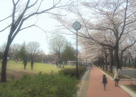 P3318771 平 25-03-31-gg日) 17-04-22 4032x2272